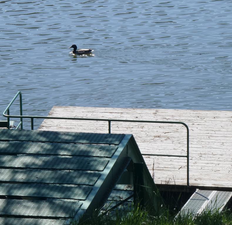 Tiszavirág Nyaralóház Szeged Esterno foto