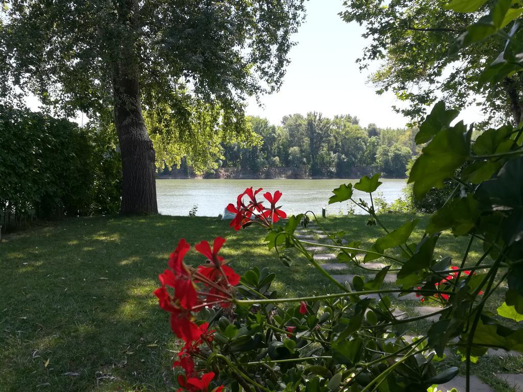 Tiszavirág Nyaralóház Szeged Esterno foto